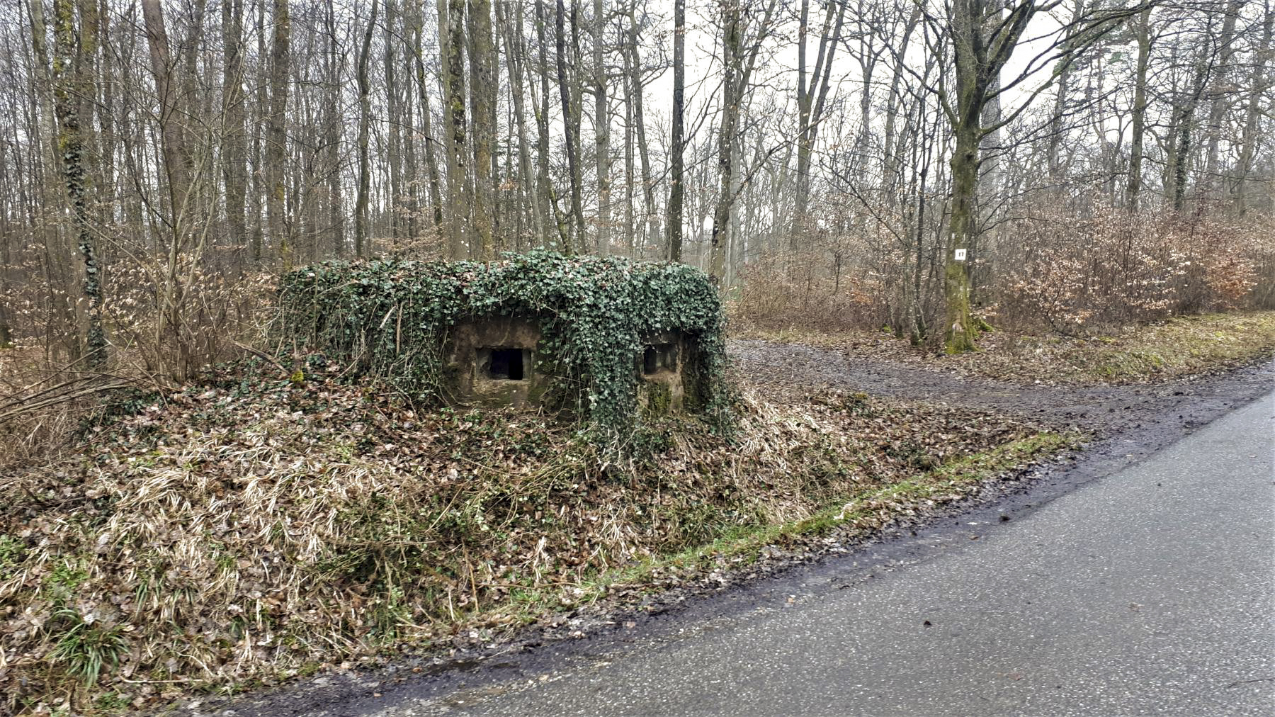 Ligne Maginot - BOIS DE LANGENSOULTZBACH 5 - (Blockhaus pour arme infanterie) - Vue sur le créneau frontal et latéral droit - Gregory Fuchs