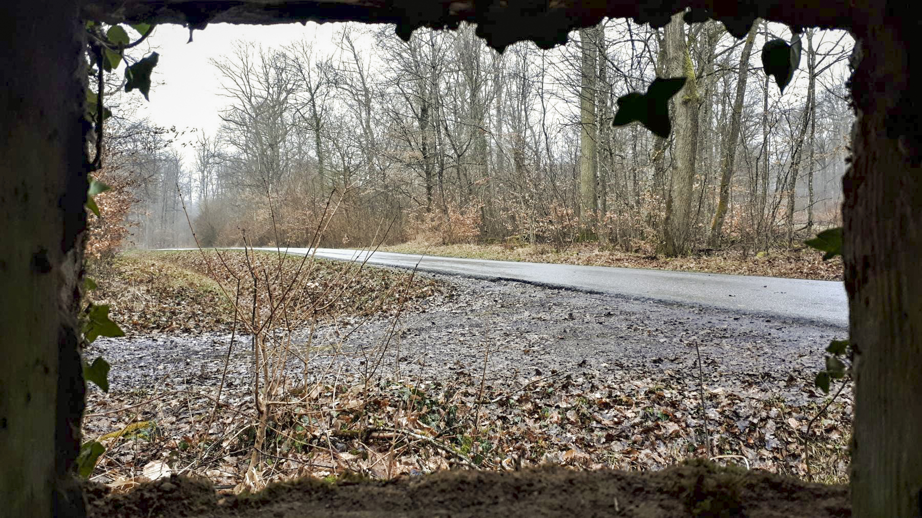 Ligne Maginot - BOIS DE LANGENSOULTZBACH 5 - (Blockhaus pour arme infanterie) - Vue depuis le créneau gauche