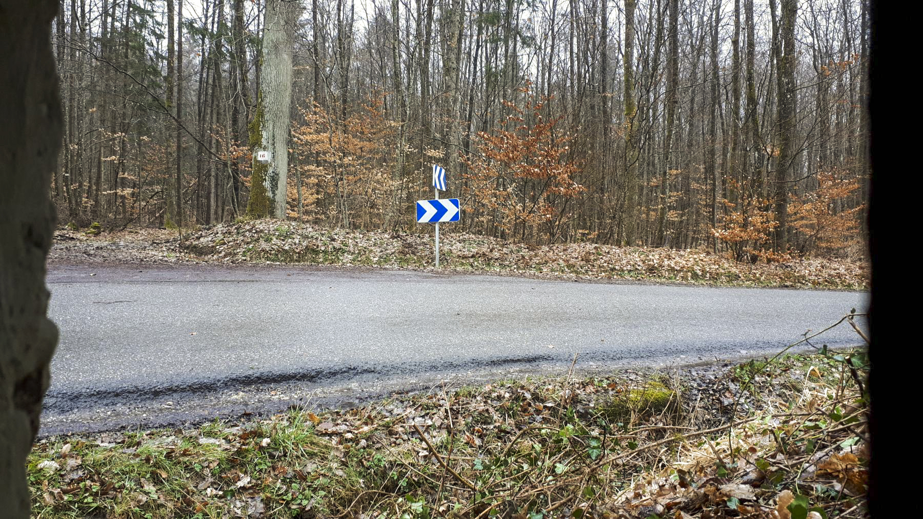 Ligne Maginot - BOIS DE LANGENSOULTZBACH 5 - (Blockhaus pour arme infanterie) - Vue depuis le créneau droit