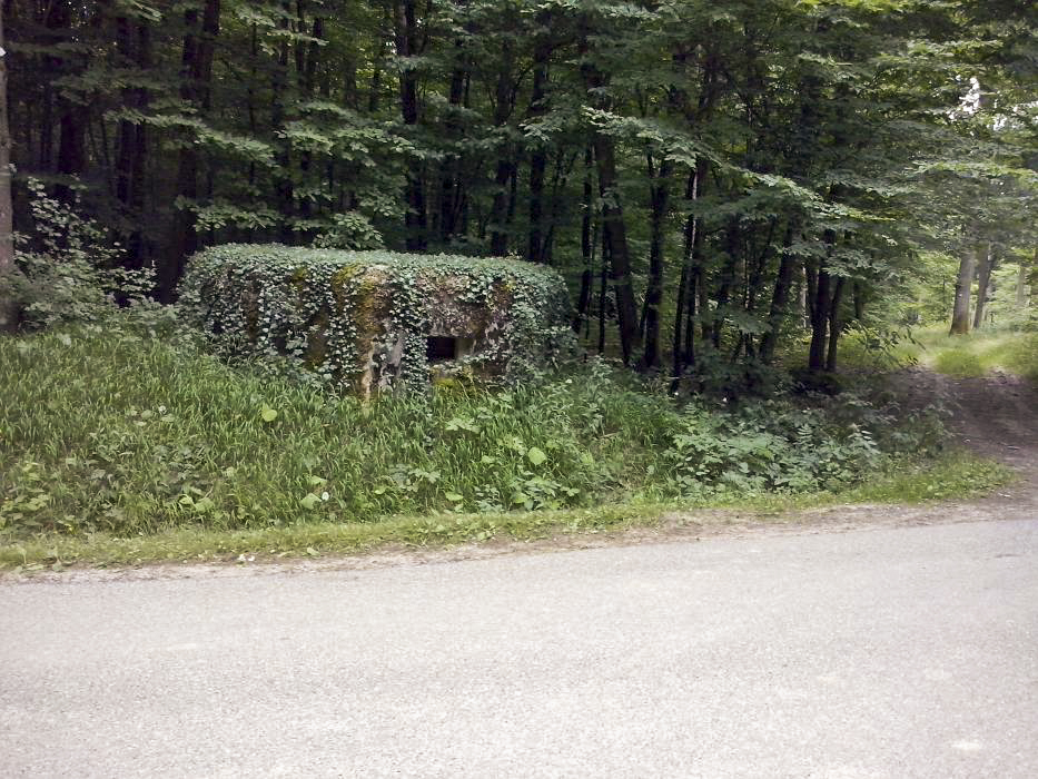 Ligne Maginot - BOIS de LANGENSOULTZBACH 5 (Blockhaus pour arme infanterie) - Vue sur le créneau frontal