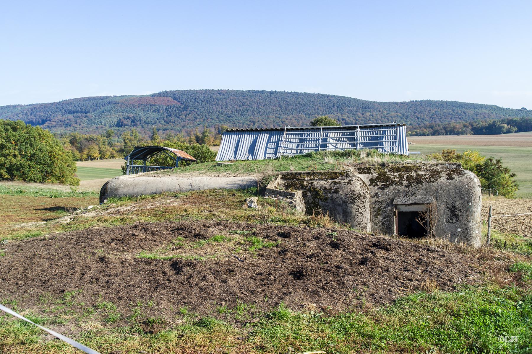 Ligne Maginot - BREITTUER 2 - (Blockhaus pour arme infanterie) -  - Lia VERMEULEN