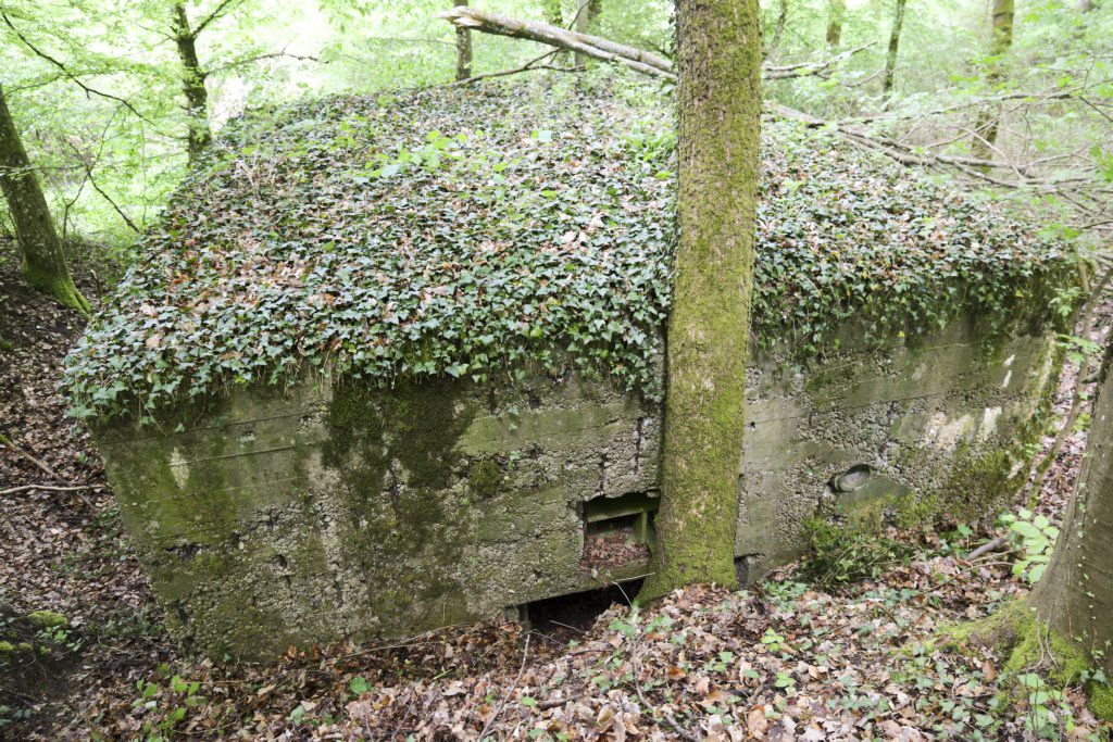 Ligne Maginot - CB424 - NEUWIESE 2 - (Blockhaus pour canon) - 