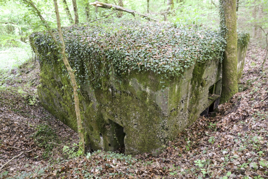Ligne Maginot - CB424 - NEUWIESE 2 - (Blockhaus pour canon) - 