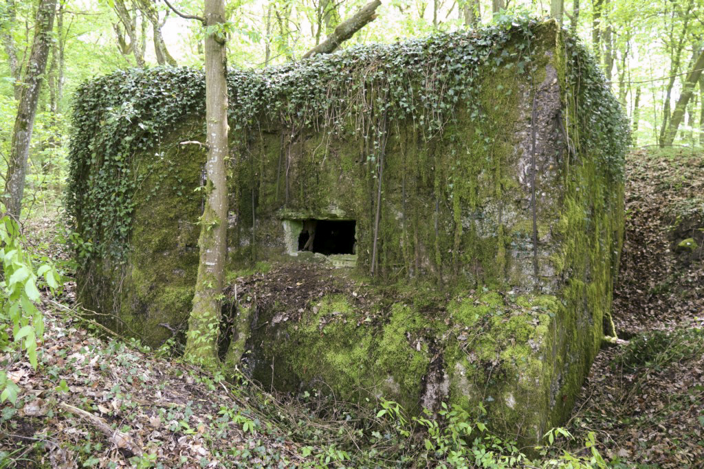 Ligne Maginot - CB424 - NEUWIESE 2 - (Blockhaus pour canon) - 