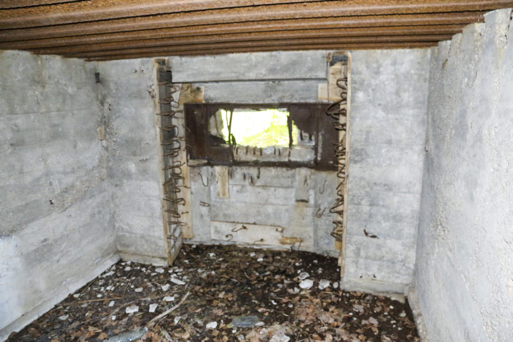 Ligne Maginot - CB424 - NEUWIESE 2 - (Blockhaus pour canon) - 
