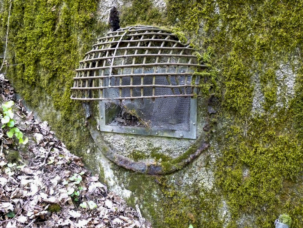 Ligne Maginot - BOIS DE KANFEN EST - C43 - (Casemate d'infanterie) - 