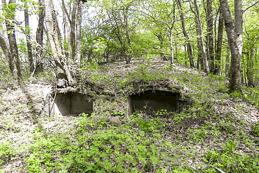 Ligne Maginot - BOIS DE KANFEN EST - C43 - (Casemate d'infanterie) - Niches a mines