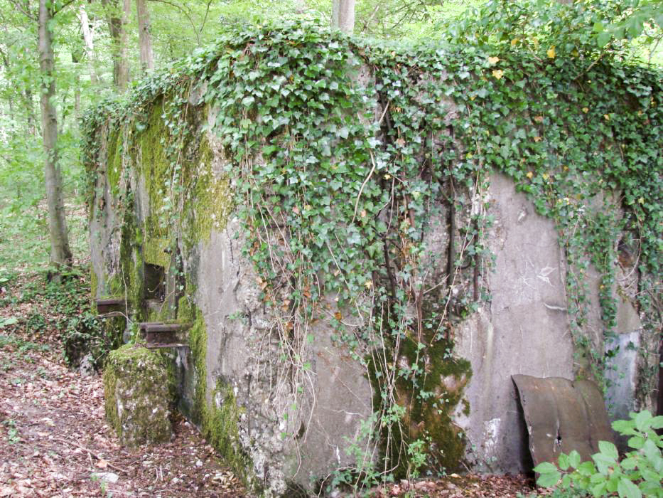 Ligne Maginot - CB421 - NEUWIESE 1 - (Blockhaus pour arme infanterie) - 