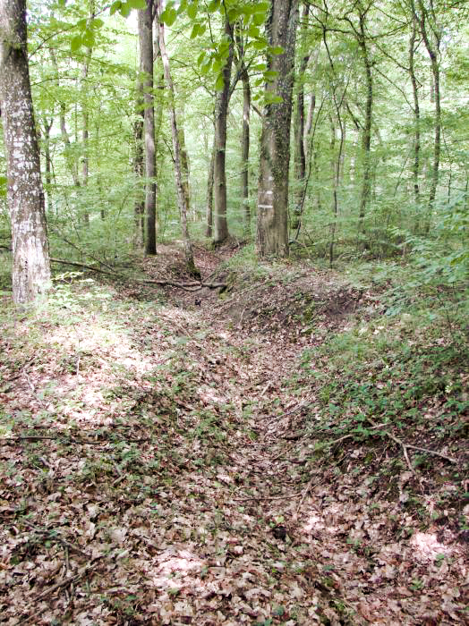 Ligne Maginot - CB421 - NEUWIESE 1 - (Blockhaus pour arme infanterie) - Réseau de tranchées à proximité