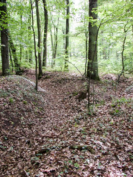 Ligne Maginot - CB421 - NEUWIESE 1 - (Blockhaus pour arme infanterie) - Réseau de tranchées à proximité