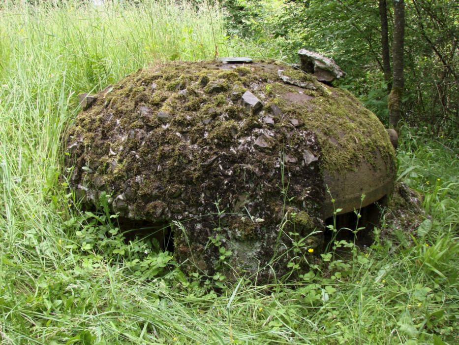 Ligne Maginot - HACKENBERG - A19 (Ouvrage d'artillerie) - Bloc 2
Cloche GFM
Noter le rocaillage utilisé comme camouflage - Schnoupf