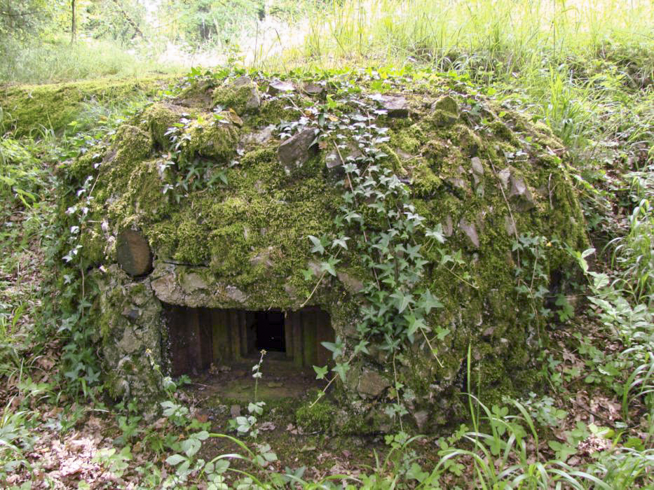 Ligne Maginot - HACKENBERG - A19 (Ouvrage d'artillerie) - Bloc 2
Cloche GFM - Schnoupf