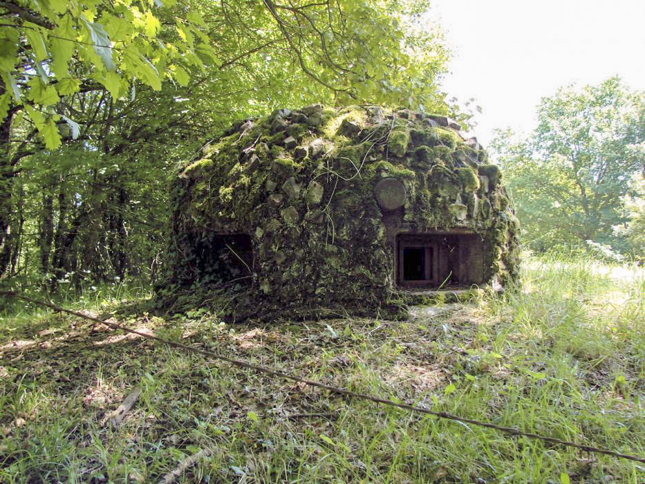 Ligne Maginot - HACKENBERG - A19 (Ouvrage d'artillerie) - Bloc 5
Cloche GFM. - Schnoupf