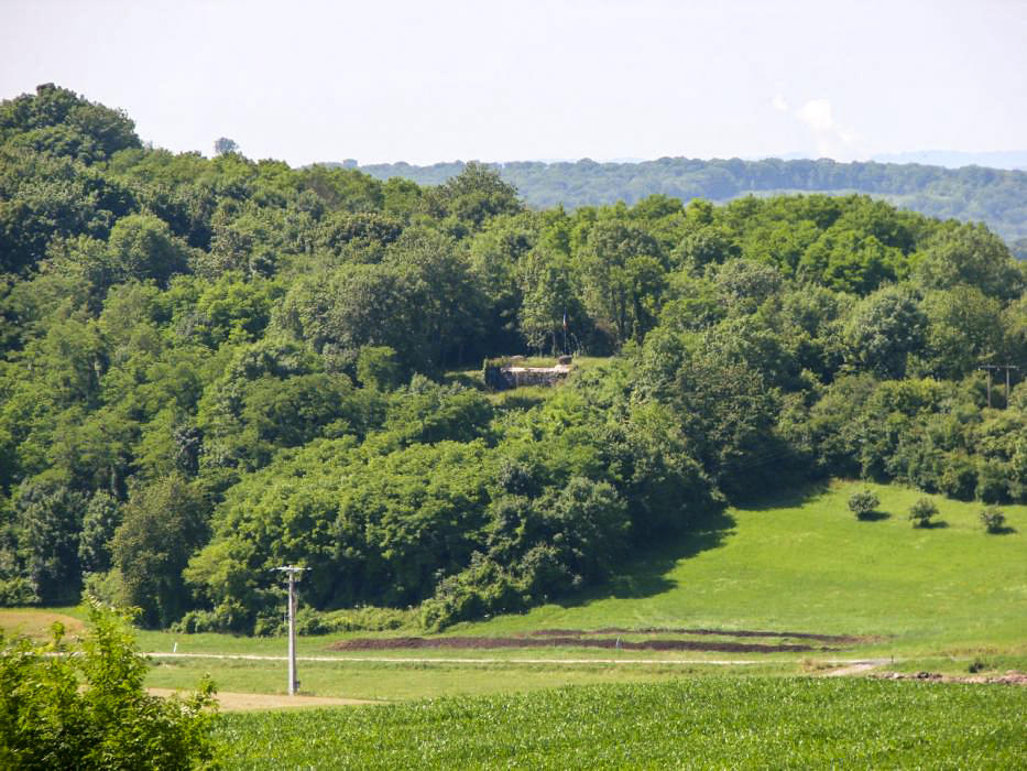 Ligne Maginot - HACKENBERG - A19 (Ouvrage d'artillerie) - Bloc 7
Vue depuis le bloc 7 sur la casemate Sud du Hummersberg. - Schnoupf