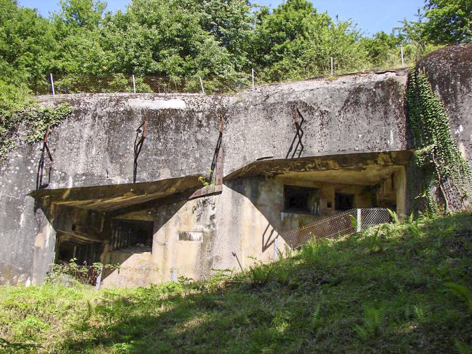 Ligne Maginot - Ouvrage d'artillerie du HACKENBERG - Bloc 21
Vue d'ensemble. - Schnoupf