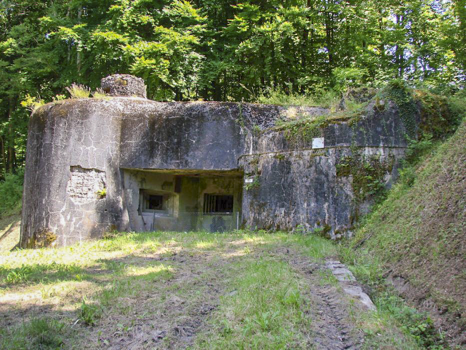 Ligne Maginot - HACKENBERG - A19 (Ouvrage d'artillerie) - Bloc 22
Vue d'ensemble. - Schnoupf