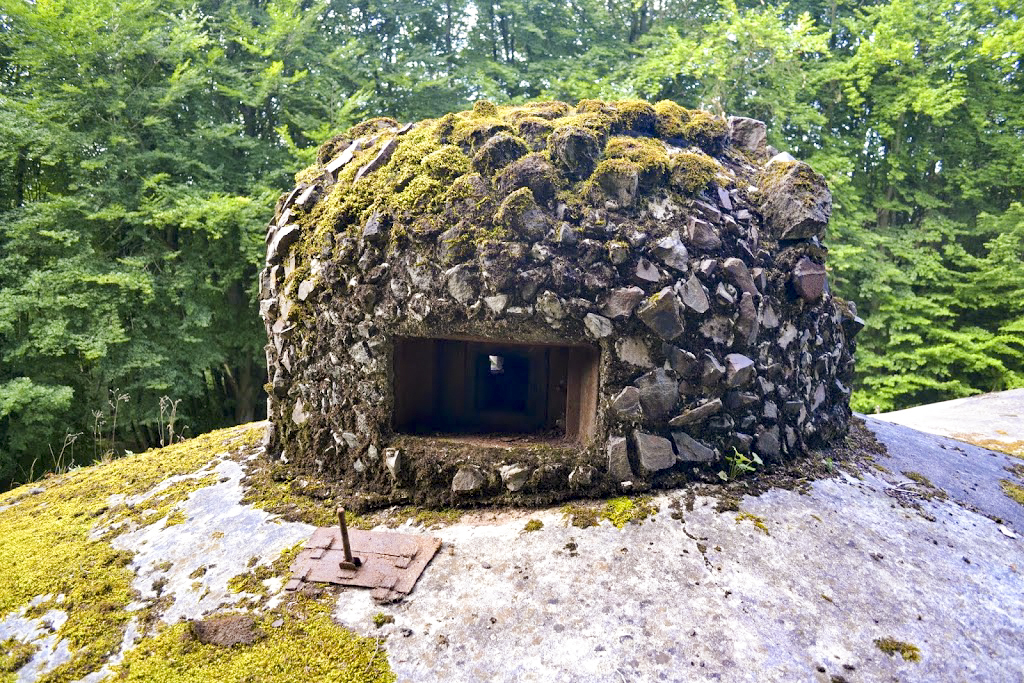 Ligne Maginot - HACKENBERG - A19 (Ouvrage d'artillerie) - Bloc 23
Cloche GFM camouflée - PAVEL Jan