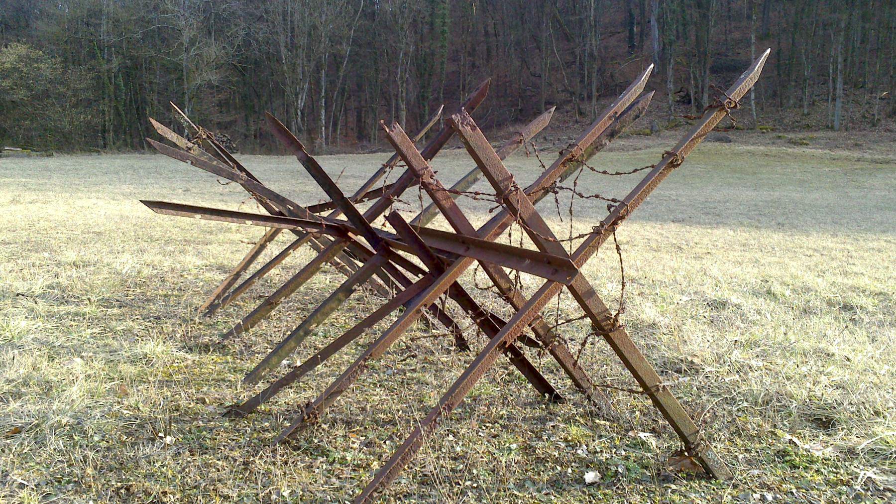 Ligne Maginot - HACKENBERG - A19 - (Ouvrage d'artillerie) - Reste de chevaux frises (réseaux de barbelés) - 164maginot
