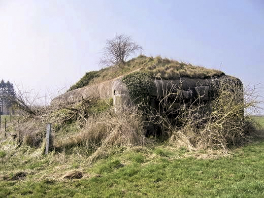 Ligne Maginot - B713 - La PERCHE à l'OISEAU (Blockhaus pour canon) - 