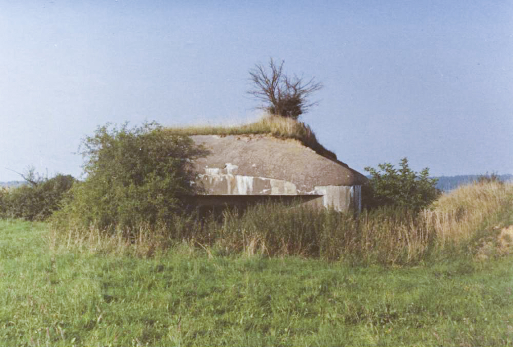Ligne Maginot - B713 - La PERCHE à l'OISEAU (Blockhaus pour canon) -  - legarsdunord