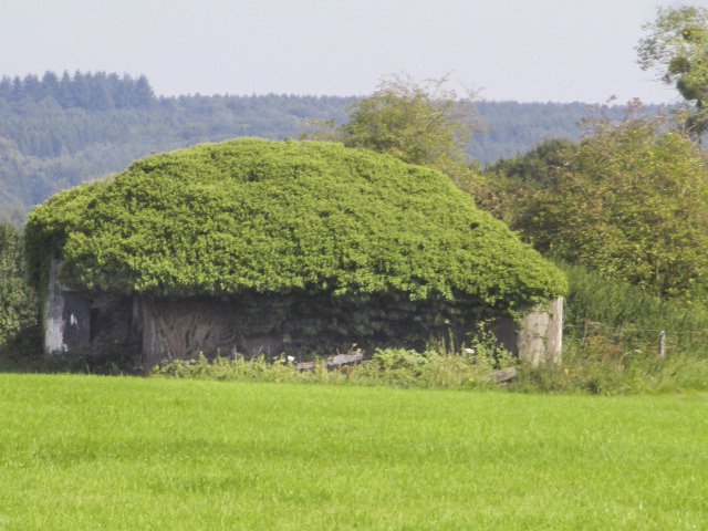Ligne Maginot - B713 - La PERCHE à l'OISEAU (Blockhaus pour canon) - Blockhaus situé dans un pré.
