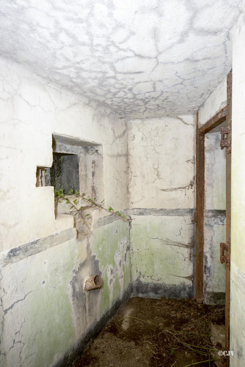Ligne Maginot - B723 - FERME aux PUCES (Blockhaus pour canon) - 