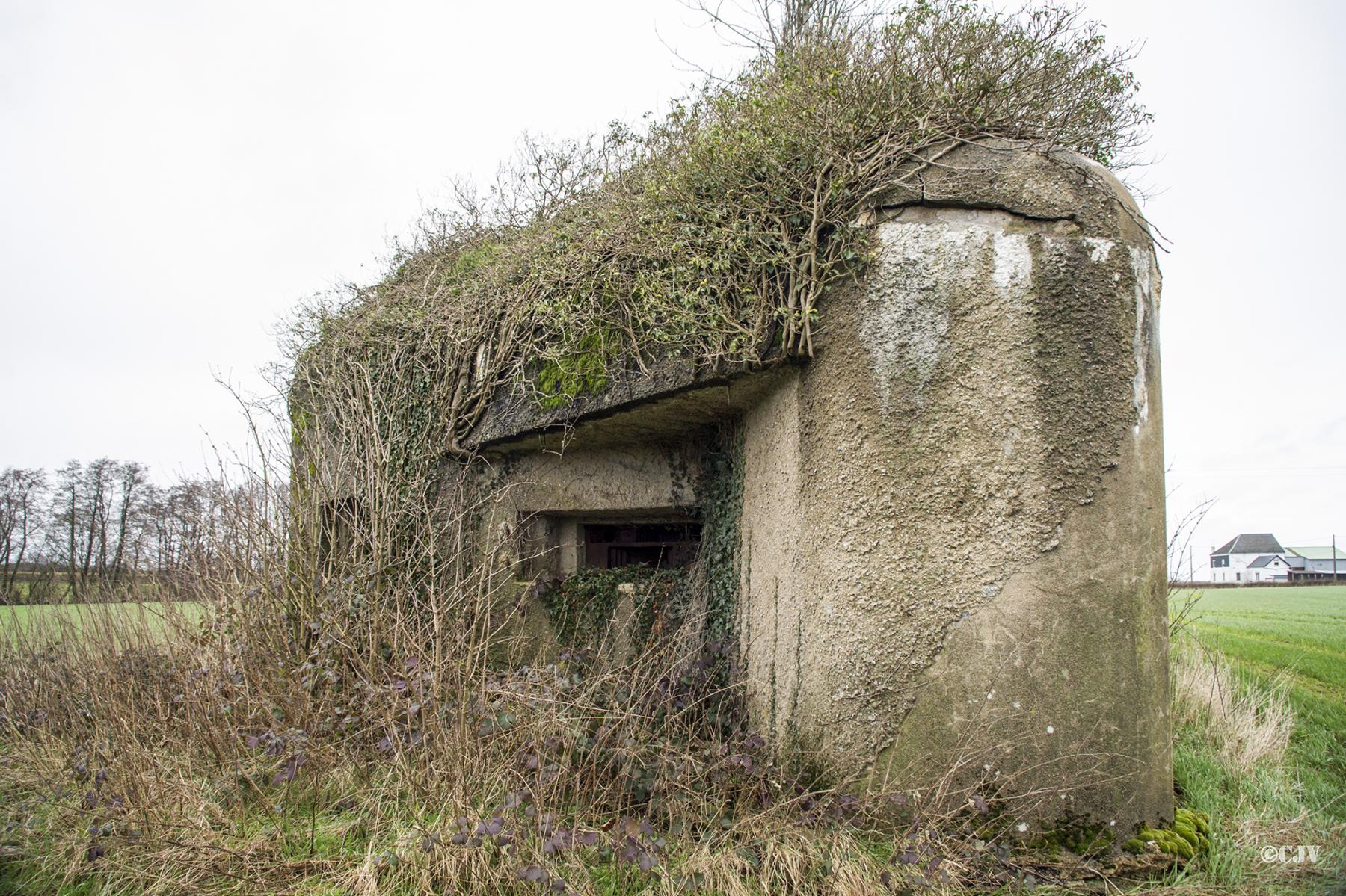 Ligne Maginot - B723 - FERME aux PUCES (Blockhaus pour canon) - 