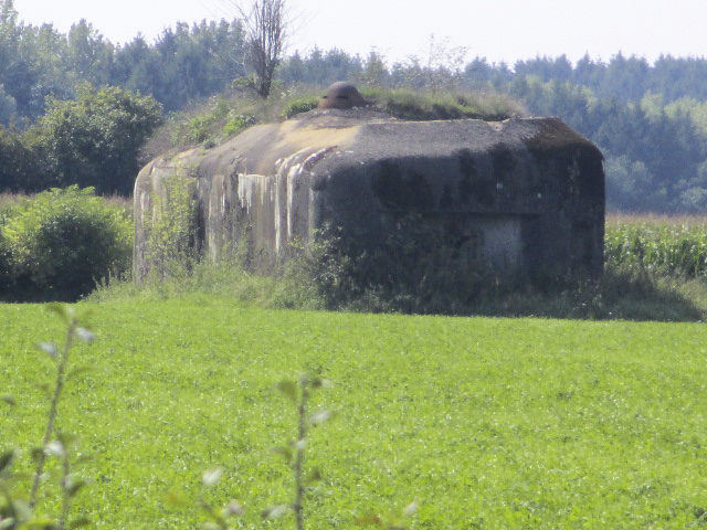 Ligne Maginot - B723 - FERME aux PUCES (Blockhaus pour canon) - 