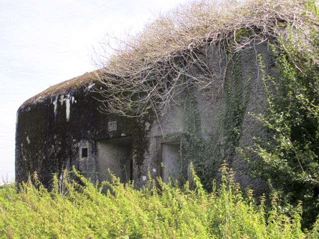 Ligne Maginot - B723 - FERME aux PUCES (Blockhaus pour canon) -  - Randonneur62