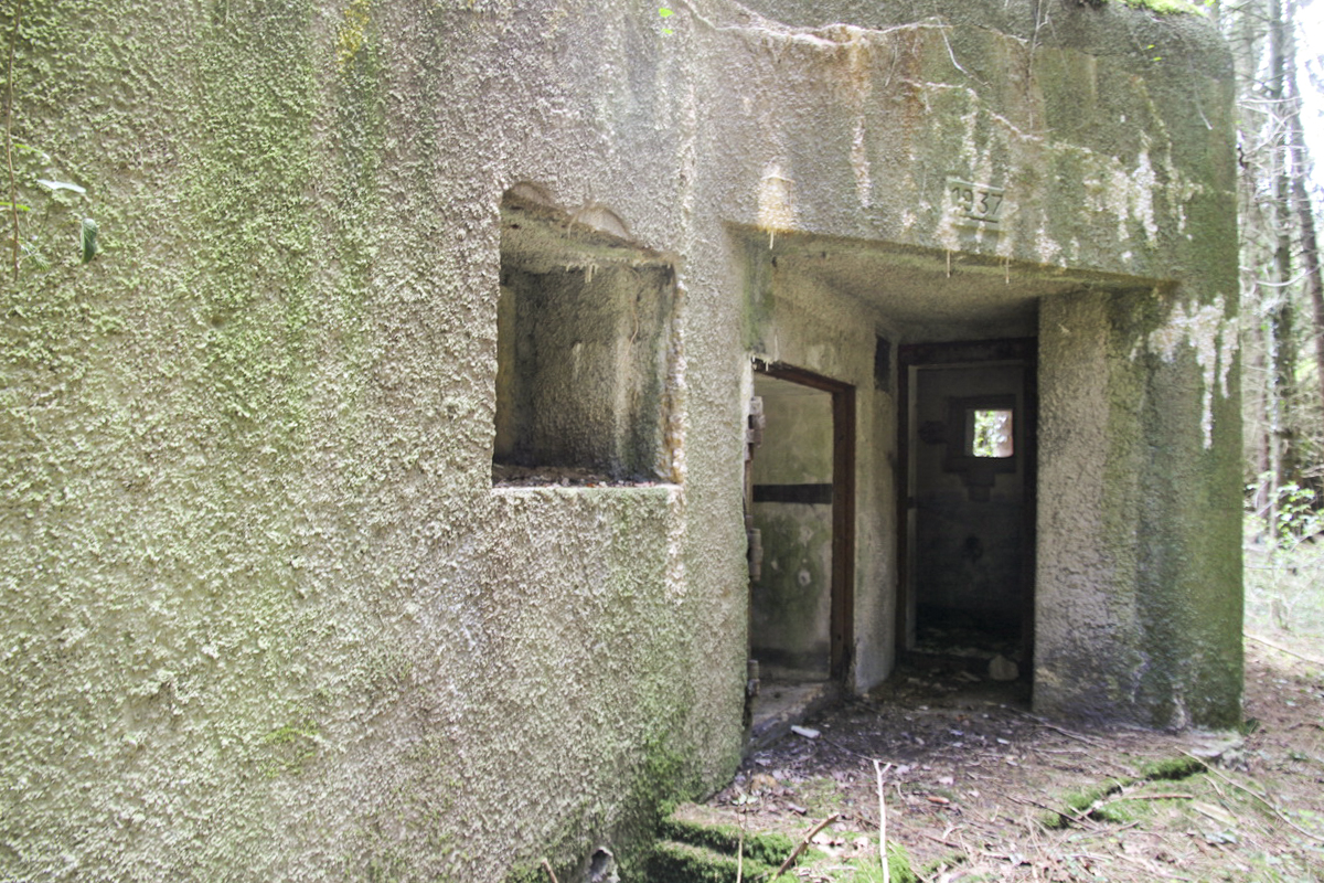 Ligne Maginot - B726 - FERME MIQUET (Blockhaus pour canon) - Les entrées