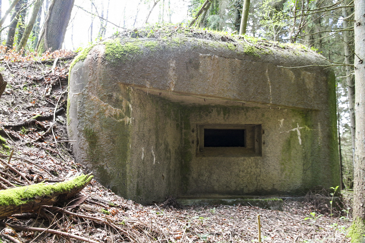 Ligne Maginot - B726 - FERME MIQUET (Blockhaus pour canon) - Façade Nord