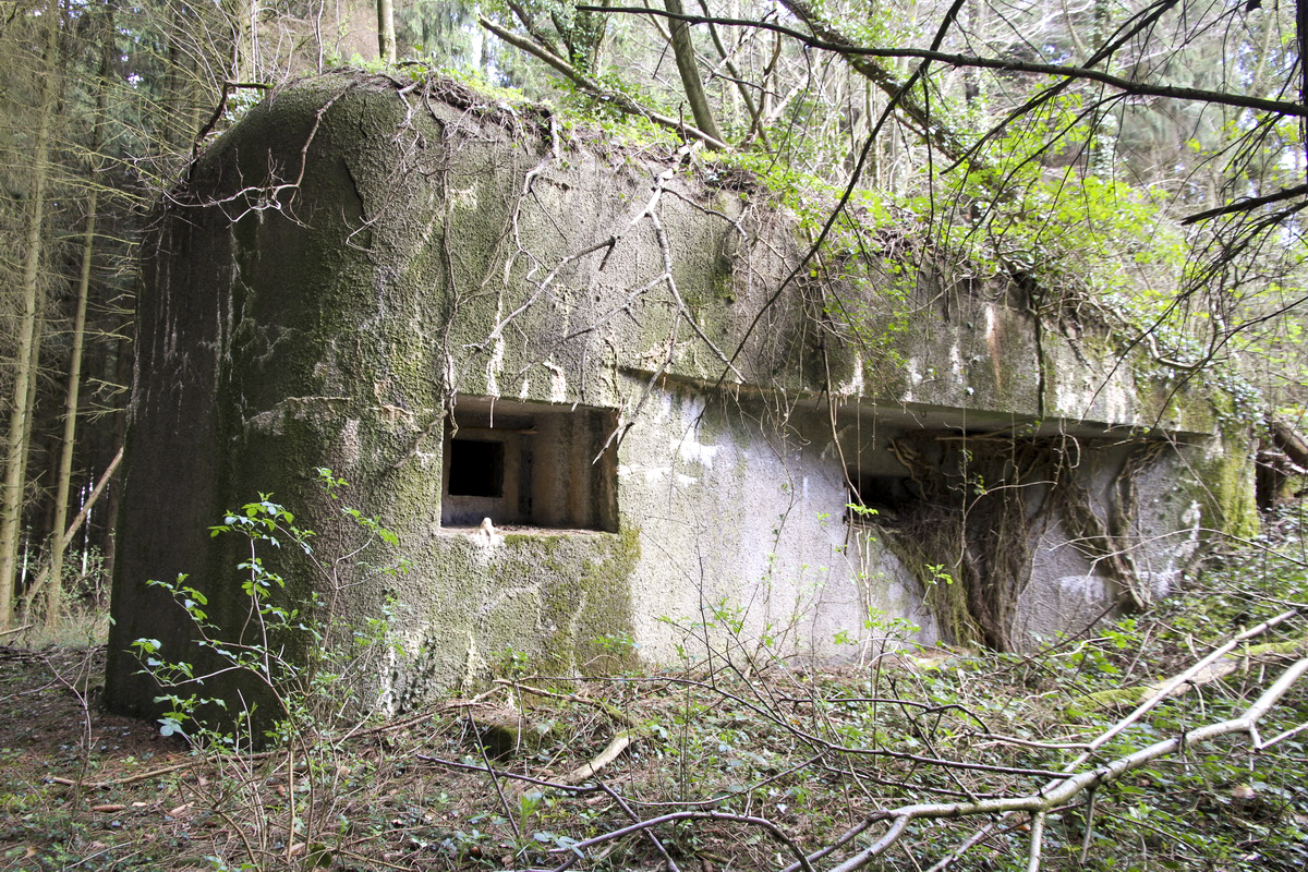 Ligne Maginot - B726 - FERME MIQUET (Blockhaus pour canon) - Façade Sud