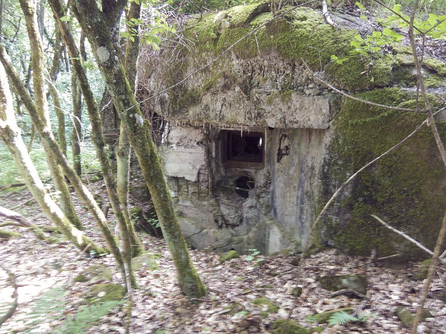Ligne Maginot - CLAIRIERE - (Blockhaus pour arme infanterie) -  - donceuh