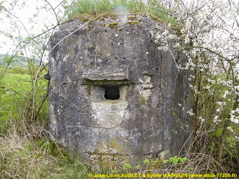 Ligne Maginot - FM65 - EICHHOLTZ 3 - (Blockhaus pour arme infanterie) -  - Jean-Louis AUBLET & Sylvie MAINGUIN (www.attila-77