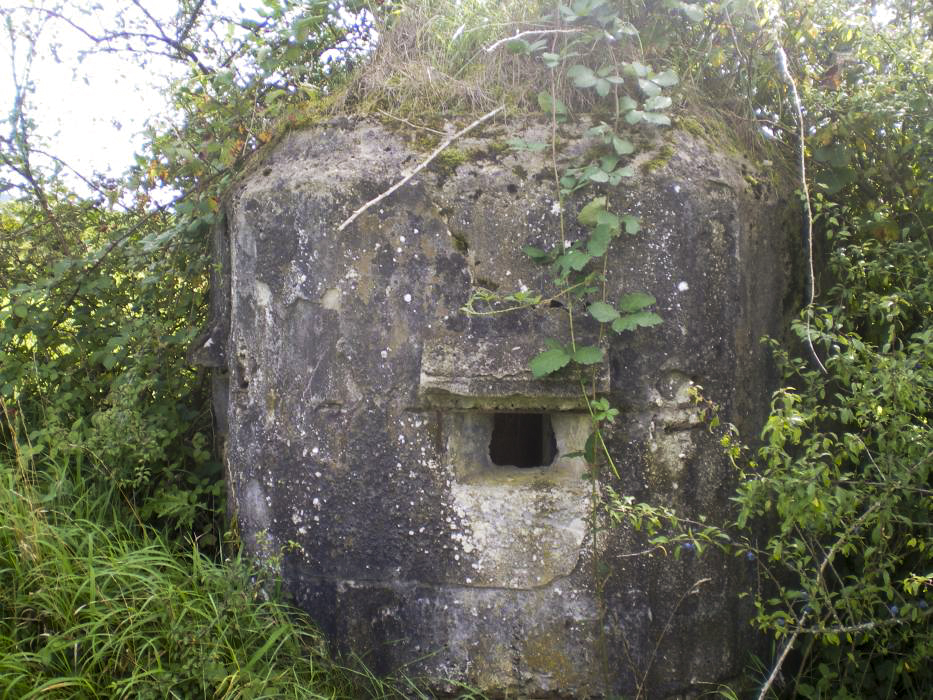 Ligne Maginot - FM65 - EICHHOLTZ 3 - (Blockhaus pour arme infanterie) -  - donceuh