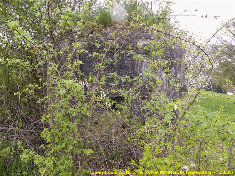 Ligne Maginot - FM65 - EICHHOLTZ 3 - (Blockhaus pour arme infanterie) -  - Jean-Louis AUBLET & Sylvie MAINGUIN (www.attila-77