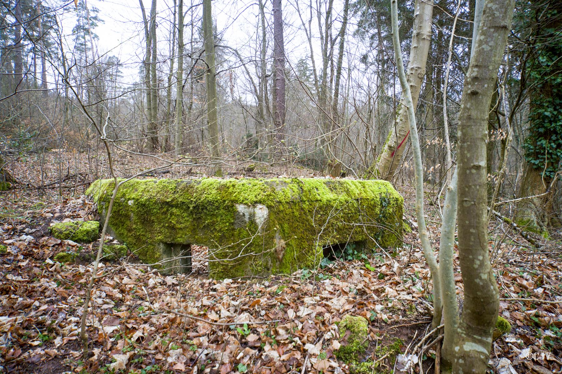 Ligne Maginot - M25 - FINSTERTHAL 2 - (Blockhaus pour arme infanterie) - 