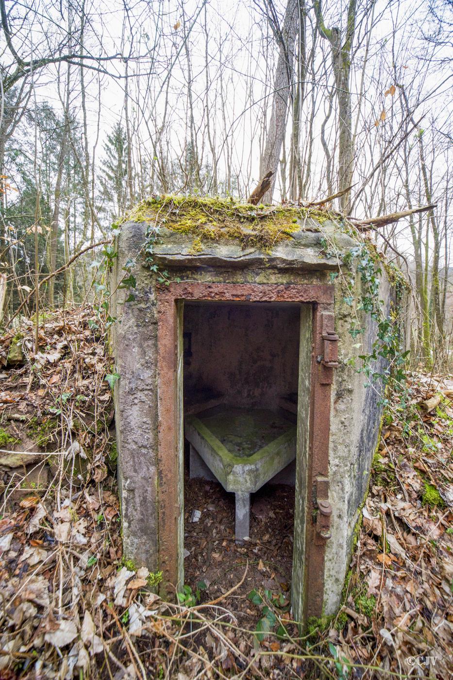 Ligne Maginot - M81 - FINSTERTHAL 3 - (Blockhaus pour arme infanterie) -  - Lia VERMEULEN