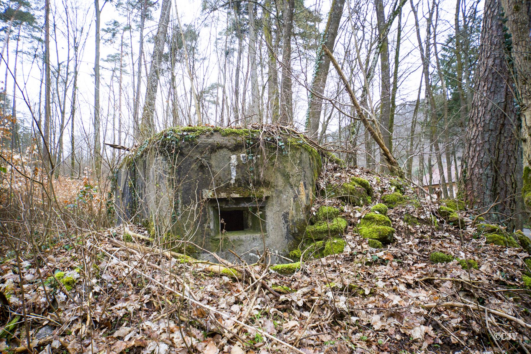 Ligne Maginot - M81 - FINSTERTHAL 3 - (Blockhaus pour arme infanterie) - 