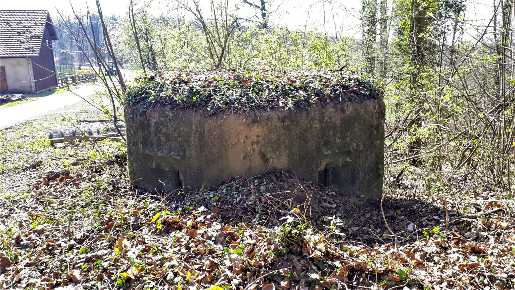 Ligne Maginot - FM32 - NONNENHARDT MAISON FORESTIERE 1 - (Blockhaus pour arme infanterie) - Créneaux frontal et latéral gauche - Gregory Fuchs