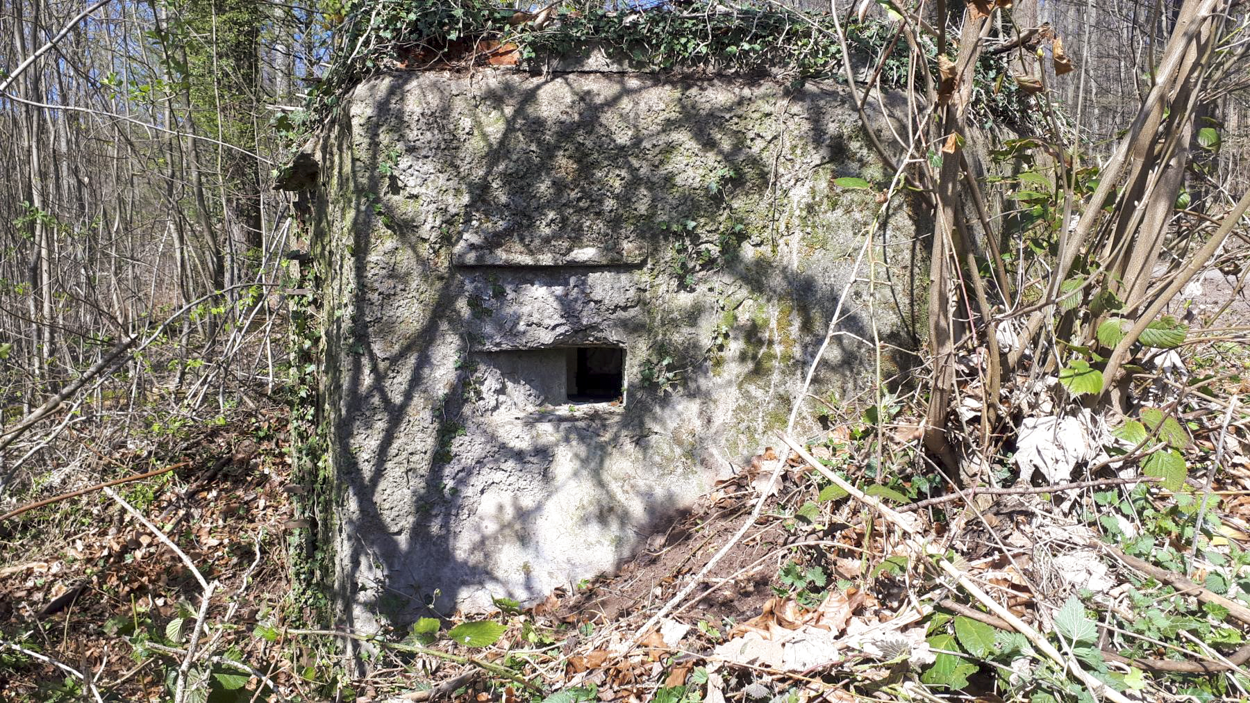 Ligne Maginot - FM32 - NONNENHARDT MAISON FORESTIERE 1 - (Blockhaus pour arme infanterie) - Créneau arrière droit - Gregory Fuchs