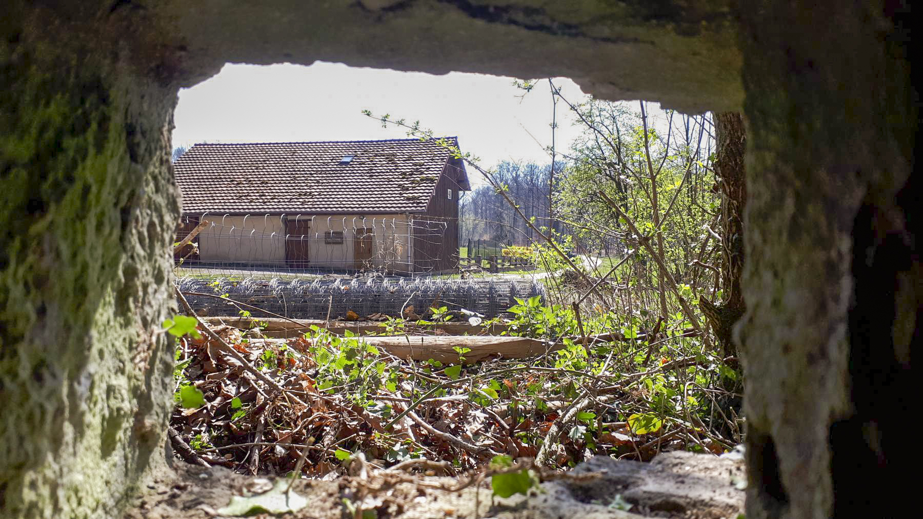 Ligne Maginot - FM32 - NONNENHARDT MAISON FORESTIERE 1 - (Blockhaus pour arme infanterie) - Vue depuis le créneau arrière droit - Gregory Fuchs