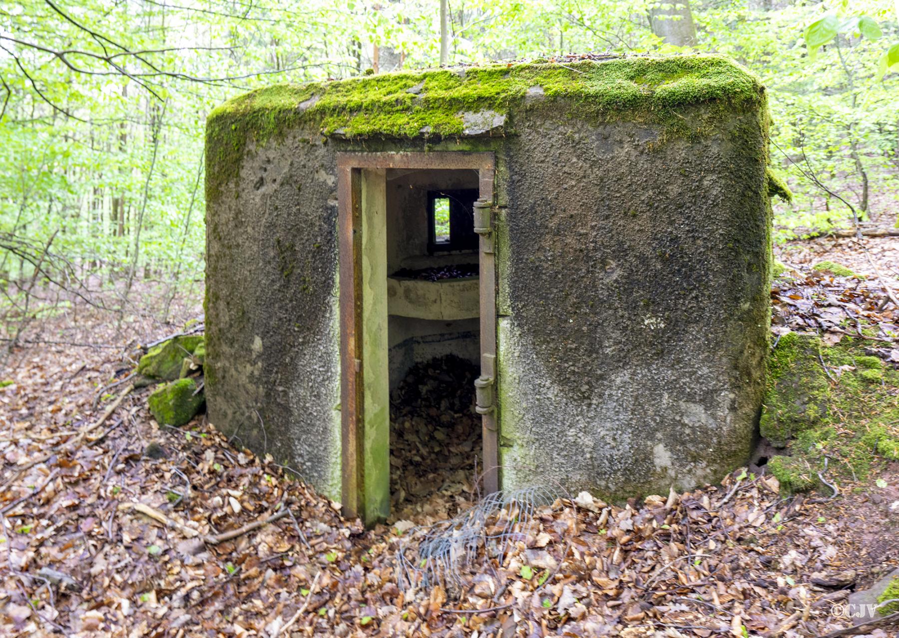 Ligne Maginot - FM33 - NONNENHARDT CENTRE 3 - (Blockhaus pour arme infanterie) - L'entrée - Lia VERMEULEN