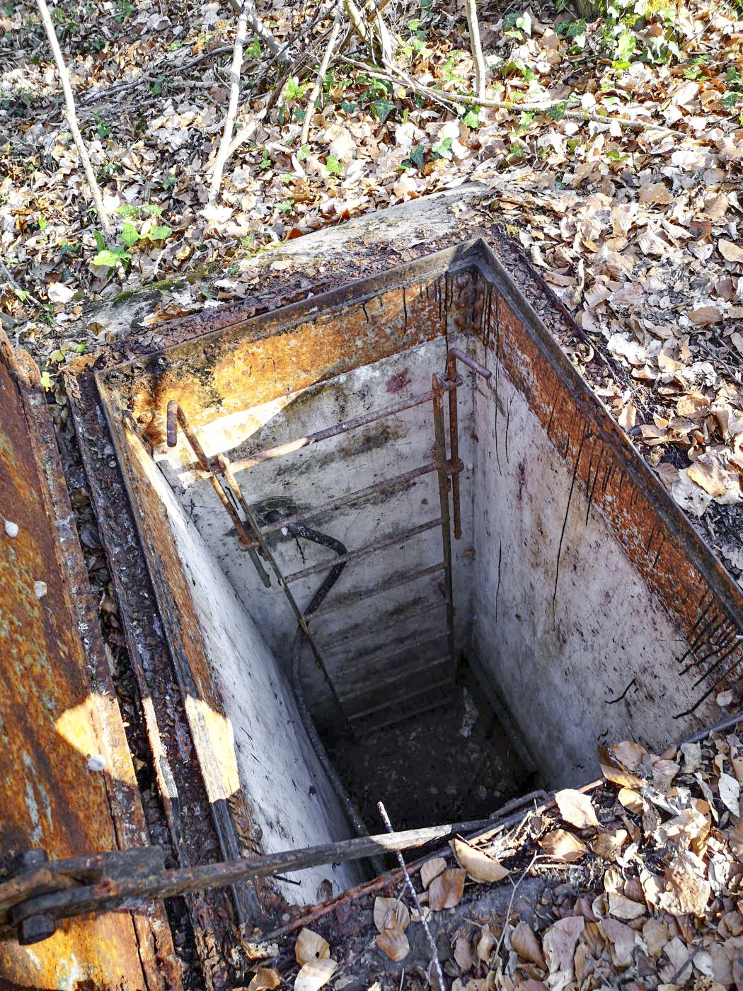 Ligne Maginot - 12T - (Chambre de coupure) - Puits d'accès et échelle