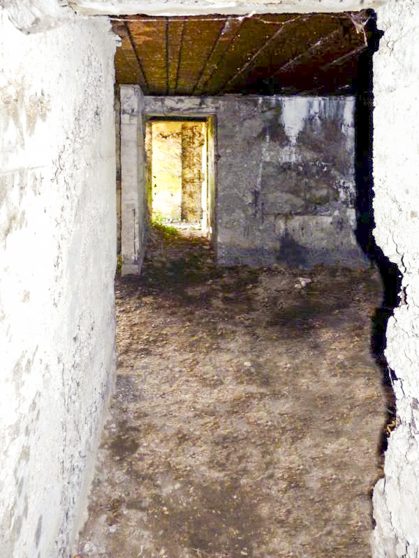 Ligne Maginot - A1 - TROIS ROIS - (Blockhaus lourd type STG / STG-FCR - Double) - 