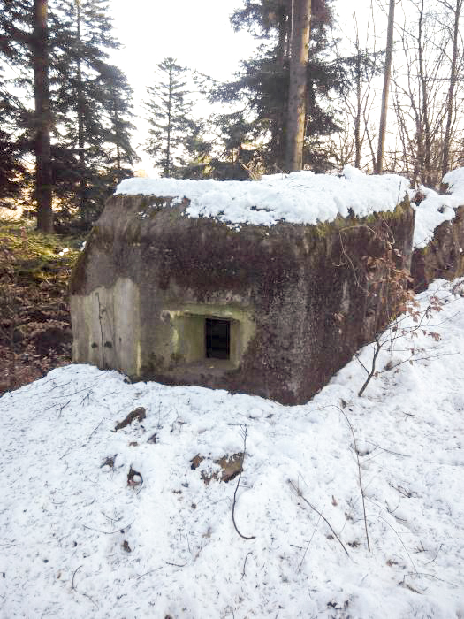 Ligne Maginot - FM47 - NONNENHARDT EST 4 - (Blockhaus pour arme infanterie) -  - donceuh
