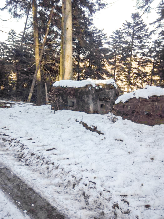 Ligne Maginot - FM47 - NONNENHARDT EST 4 - (Blockhaus pour arme infanterie) -  - donceuh