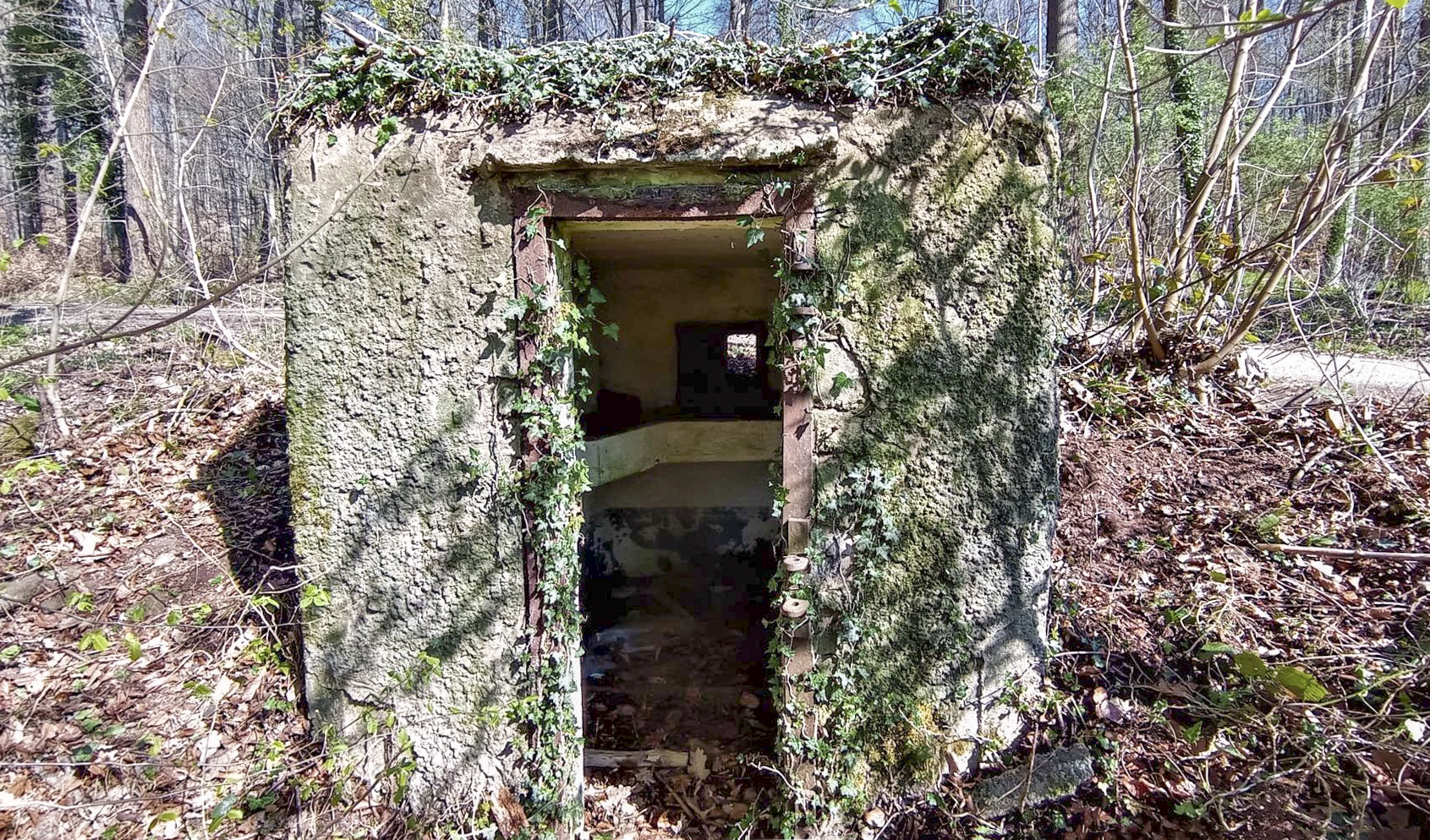 Ligne Maginot - FM32 - NONNENHARDT MAISON FORESTIERE 1 - (Blockhaus pour arme infanterie) - L'entrée - Baptiste GAUDIN