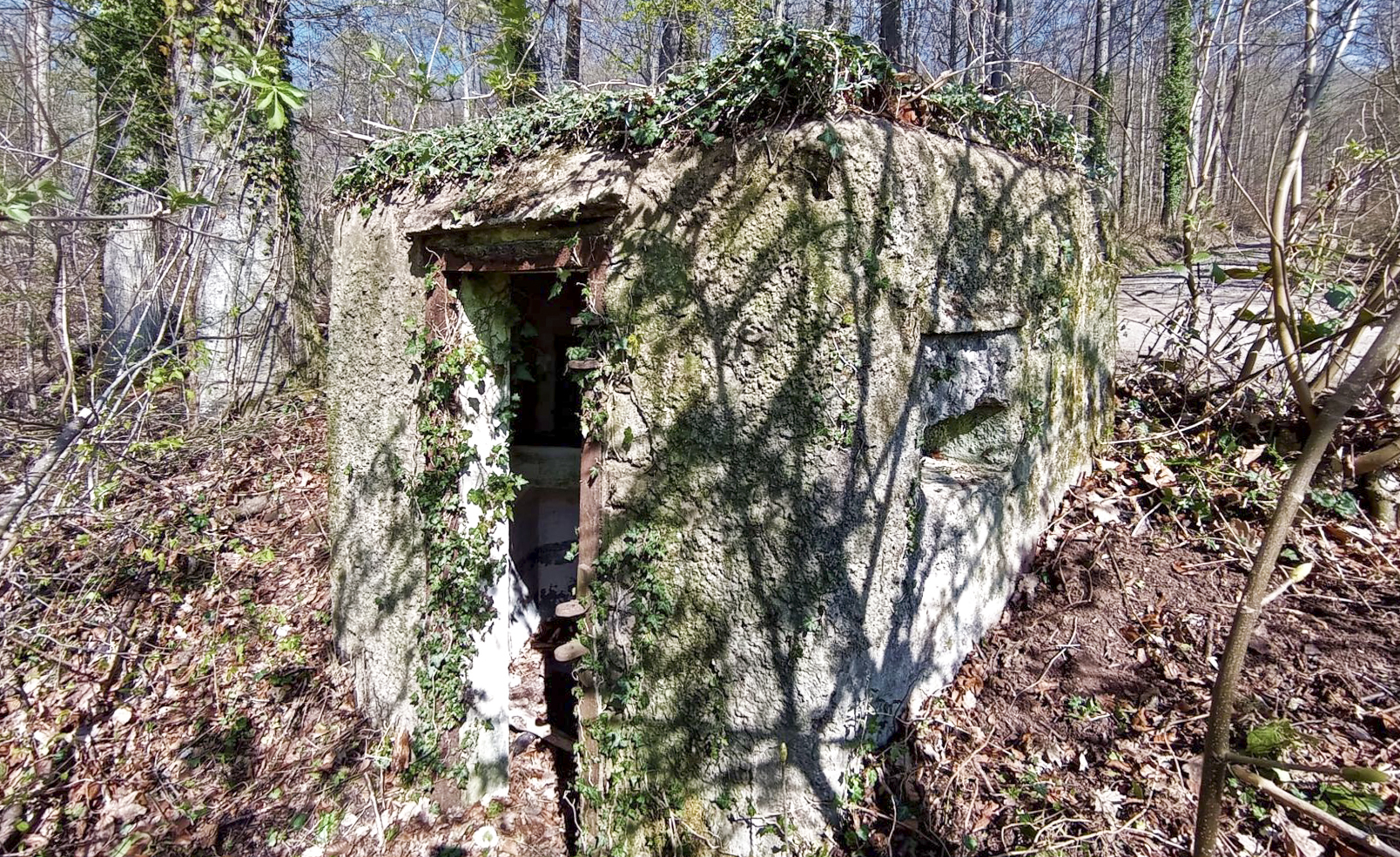 Ligne Maginot - FM32 - NONNENHARDT MAISON FORESTIERE 1 - (Blockhaus pour arme infanterie) - L'entrée et le créneau arrière droit - Baptiste GAUDIN