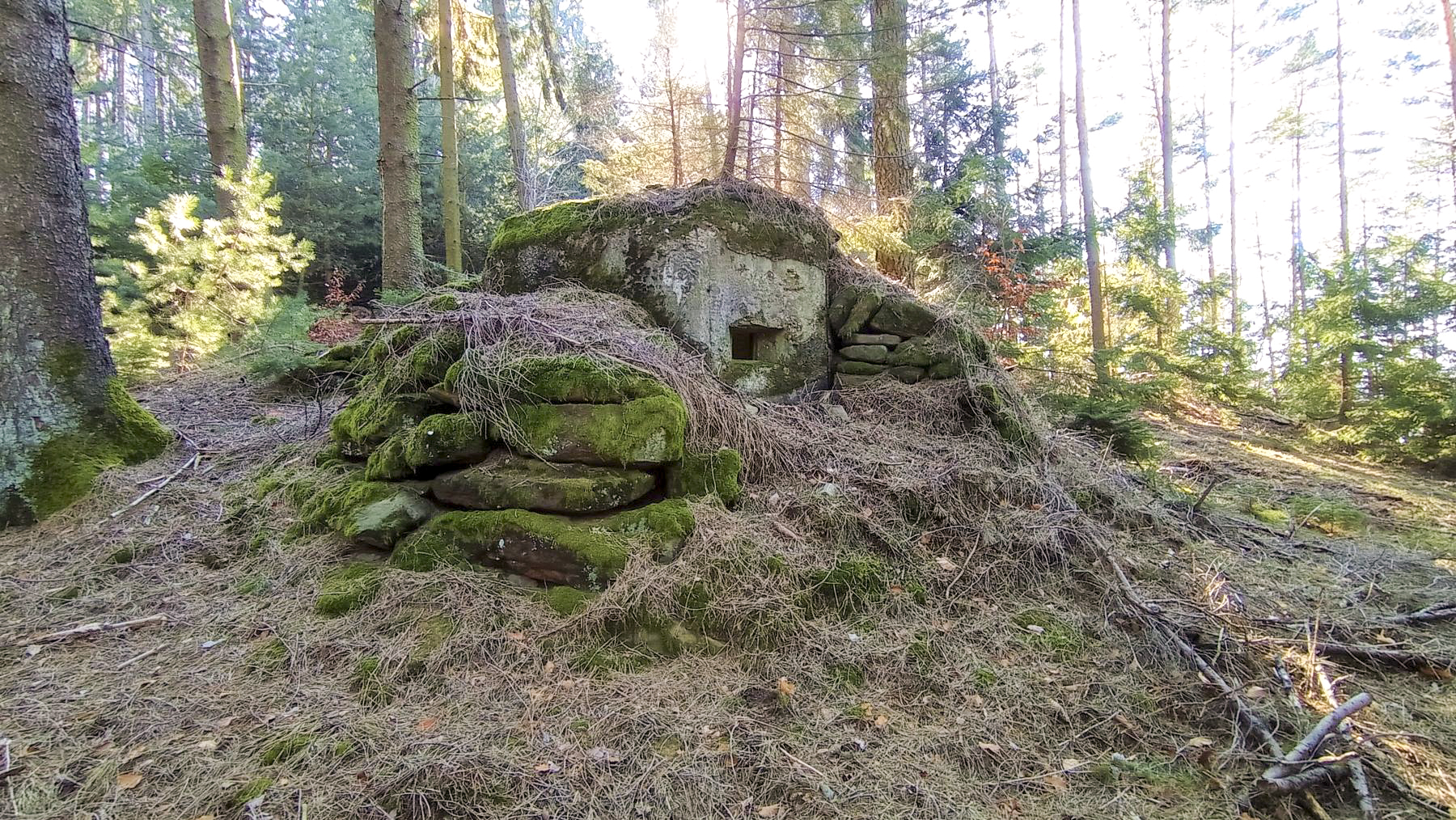 Ligne Maginot - FM40 - BETZENTHAL 3 - (Blockhaus pour arme infanterie) - façade avant